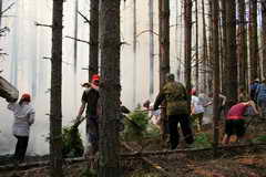Оперативный выезд работников лесного комплекса предотвратил лесной пожар на горе Зеленой в Таштагольском районе